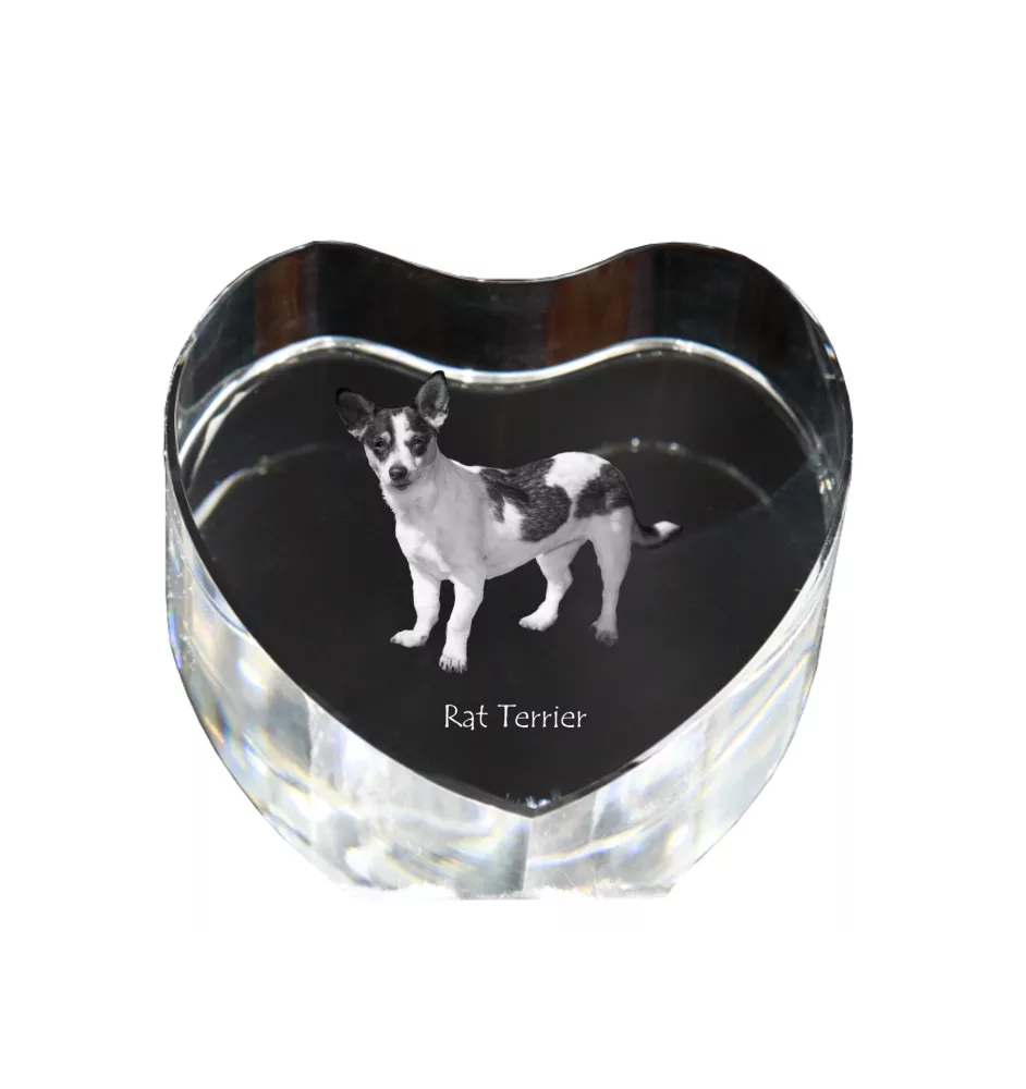 Rat Terrier - une photo de chien dans un cristal, un cœur en cristal, un cadre photo exceptionnel de la marque Art-Dog