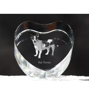 Rat Terrier - une photo de chien dans un cristal, un cœur en cristal, un cadre photo exceptionnel de la marque Art-Dog