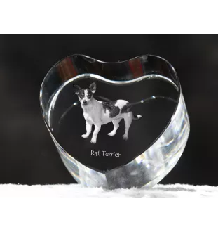 Rat Terrier - une photo de chien dans un cristal, un cœur en cristal, un cadre photo exceptionnel de la marque Art-Dog