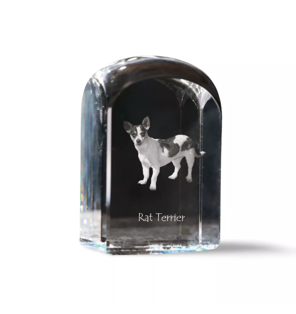 Rat Terrier, Ratting Terrier, Decker Giant - crystal cube with a photo, photo of a dog in crystal, cubic paperweight from Art-Dog brand