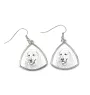 Chien de montagne des Pyrénées, Pastou, Patou - boucles d'oreilles avec chien, boucles d'oreilles pendantes avec photo, bijoux personnalisés avec impression de la marque Art-Dog