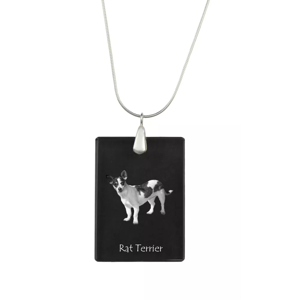 Rat Terrier - Pendentif en cristal avec chien, collier en argent avec photo, pendentif personnalisé par la marque Art-Dog