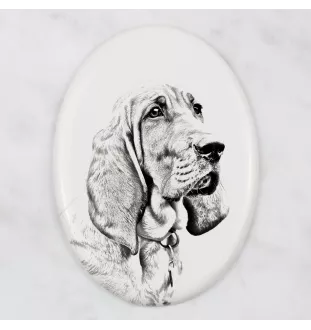 Redbone Coonhound - commemorative plaque with a photo of a dog, tombstone with a print, personalized oval plaque from the Art-Dog brand