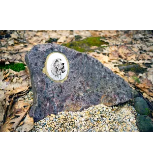 Redbone Coonhound - commemorative plaque with a photo of a dog, tombstone with a print, personalized oval plaque from the Art-Dog brand