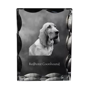 Redbone Coonhound - crystal with a picture of a dog, glass statuette with a picture, unique frame with a picture from Art-Dog brand