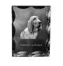 Redbone Coonhound - cristal avec photo de chien, statuette en verre avec photo, cadre exceptionnel avec photo de la marque Art-Dog