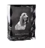 Redbone Coonhound - cristal avec photo de chien, statuette en verre avec photo, cadre exceptionnel avec photo de la marque Art-Dog