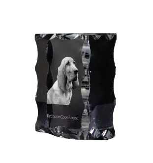 Redbone Coonhound - cristal avec photo de chien, statuette en verre avec photo, cadre exceptionnel avec photo de la marque Art-Dog