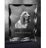 Redbone Coonhound - cristal avec photo de chien, statuette en verre avec photo, cadre exceptionnel avec photo de la marque Art-Dog