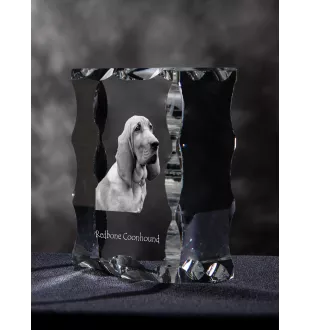 Redbone Coonhound - Kristall mit einem Hundebild, Glasstatuette mit einem Bild, einzigartiger Bilderrahmen der Marke Art-Dog