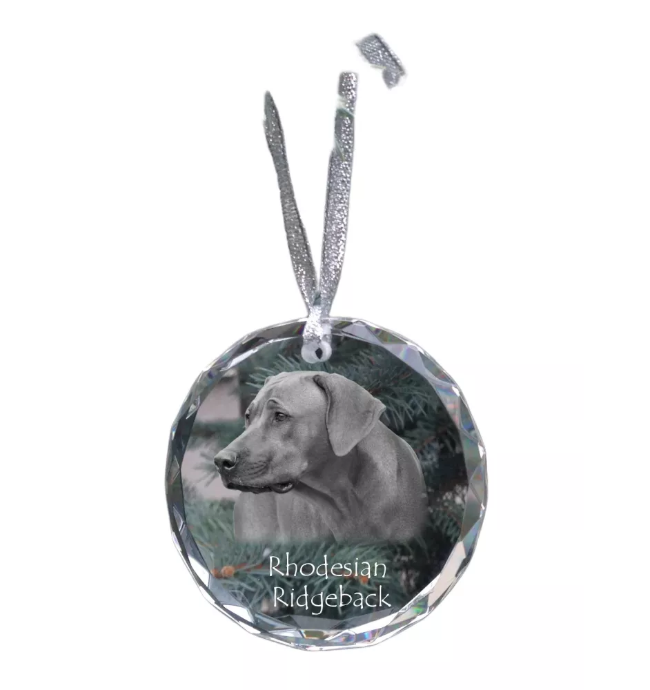 Chien de Rhodésie à crête dorsale, Rhodesian ridgeback - boule de Noël en cristal avec une photo, photo de chien dans le cristal, décoration personnalisée pour sapin de Noël de la marque Art-Dog