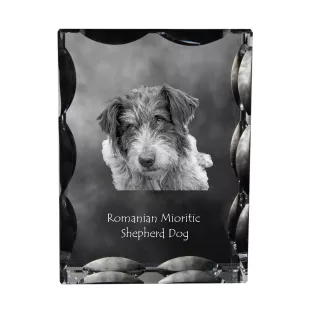 Ciobănesc Românesc Mioritic, Mocano, Barac - Kristall mit einem Hundebild, Glasstatuette mit einem Bild, einzigartiger Bilderrahmen der Marke Art-Dog