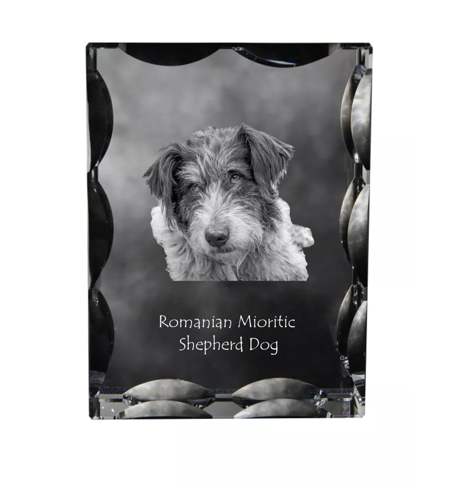 Chien de berger roumain de Mioritza - cristal avec photo de chien, statuette en verre avec photo, cadre exceptionnel avec photo de la marque Art-Dog