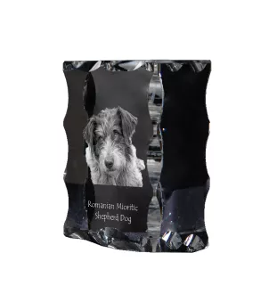 Chien de berger roumain de Mioritza - cristal avec photo de chien, statuette en verre avec photo, cadre exceptionnel avec photo de la marque Art-Dog