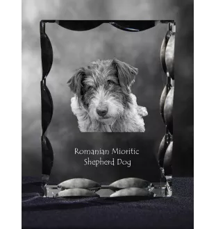 Chien de berger roumain de Mioritza - cristal avec photo de chien, statuette en verre avec photo, cadre exceptionnel avec photo de la marque Art-Dog