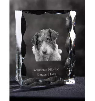 Chien de berger roumain de Mioritza - cristal avec photo de chien, statuette en verre avec photo, cadre exceptionnel avec photo de la marque Art-Dog