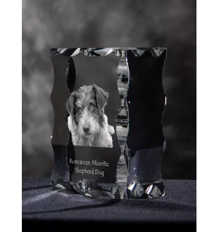 Ciobanesc Romanesc Mioritic ramka kryształowa z psem Art-Dog