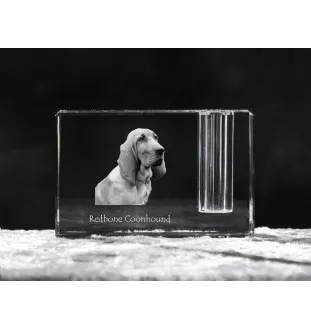 Redbone Coonhound - Pen stand, crystal organiser with dog photo, unique desk decoration by Art-Dog brand