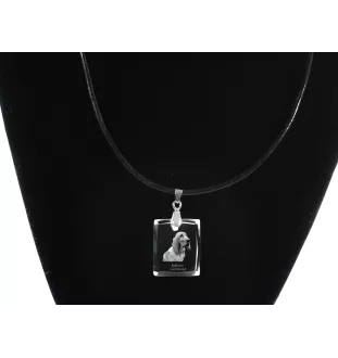 Redbone Coonhound - Pendentif chien en cristal, collier photo, bijoux uniques par Art-Dog