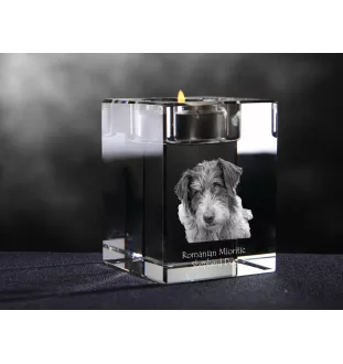 Ciobănesc Românesc Mioritic, Mocano, Barac - Kerzenhalter mit Hundefoto, Teelichthalter aus Kristall, personalisiertes Geschenk der Marke Art-Dog