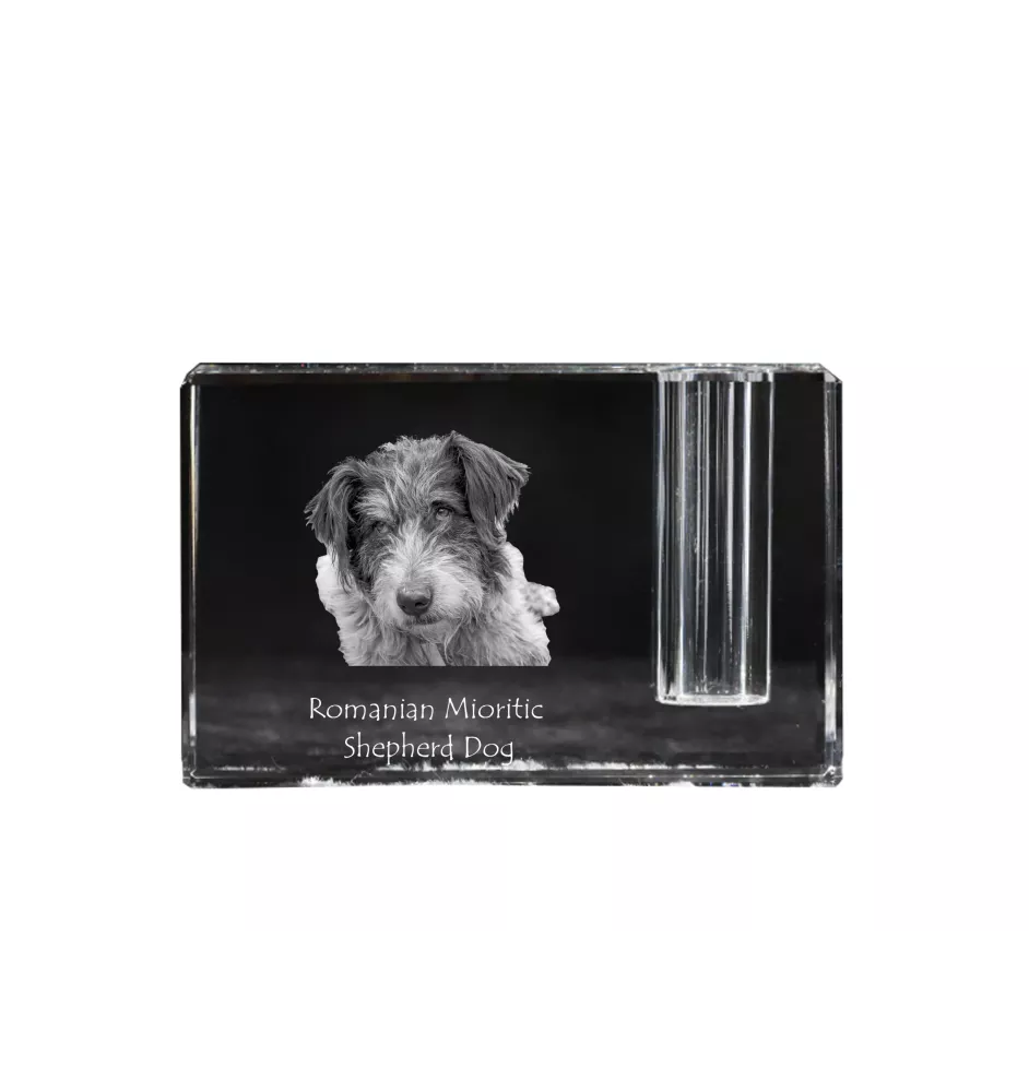 Ciobănesc Românesc Mioritic, Mocano, Barac - Stifthalter, Kristallorganizer mit Hundefoto, einzigartige Schreibtischdekoration der Marke Art-Dog