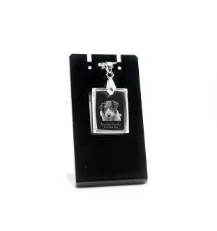 Chien de berger roumain de Mioritza - Pendentif chien en cristal, collier photo, bijoux uniques par Art-Dog