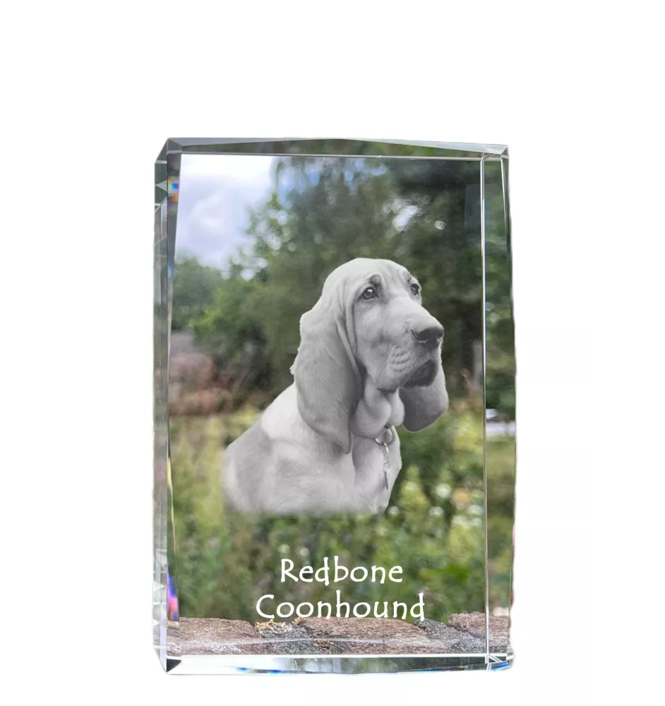 Redbone Coonhound - Kristall mit einem Hundebild, Bild im Glas, moderne Ausstellung des Art-Dog-Bildes.