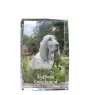 Redbone Coonhound - Kristall mit einem Hundebild, Bild im Glas, moderne Ausstellung des Art-Dog-Bildes.