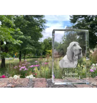 Redbone Coonhound - crystal with a picture of a dog, photo in glass, modern exhibition of Art-Dog brand photo