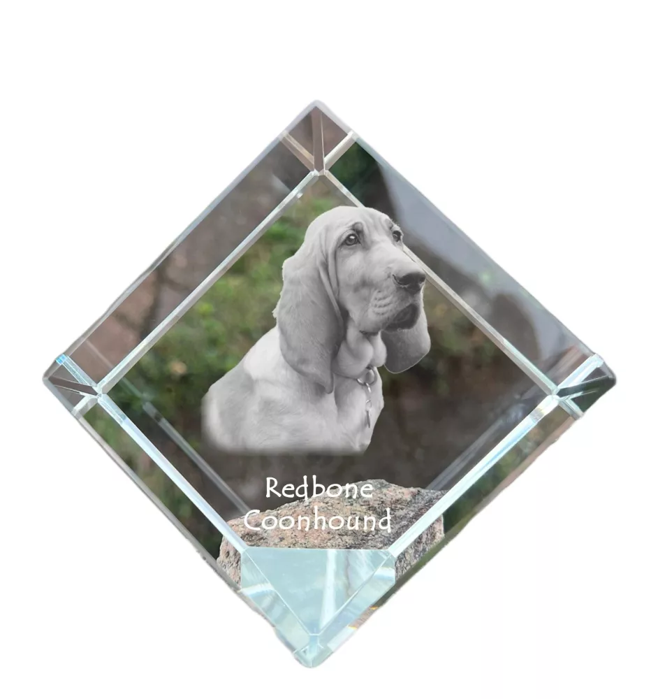 Redbone Coonhound - crystal cube with a photo, photo of a horse in crystal, cubic paperweight from Art-Dog brand