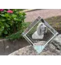 Redbone Coonhound - un cube de cristal avec une photo, une photo de cheval dans le cristal, un presse-papiers cubique de la marque Art-Dog