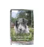 Chien de berger roumain de Mioritza - cristal avec une photo de chien, photo sous verre, exposition moderne de la marque de photos Art-Dog