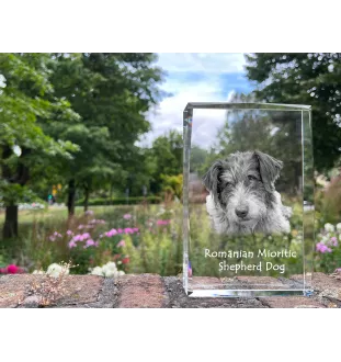 Ciobanesc Romanesc Mioritic kryształ z psem Art-Dog
