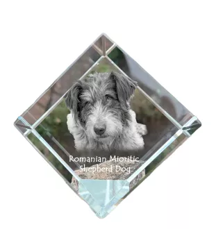 Romanian Mioritic Shepherd Dog, Ciobănesc Românesc Mioritic - crystal cube with a photo, photo of a horse in crystal, cubic paperweight from Art-Dog brand