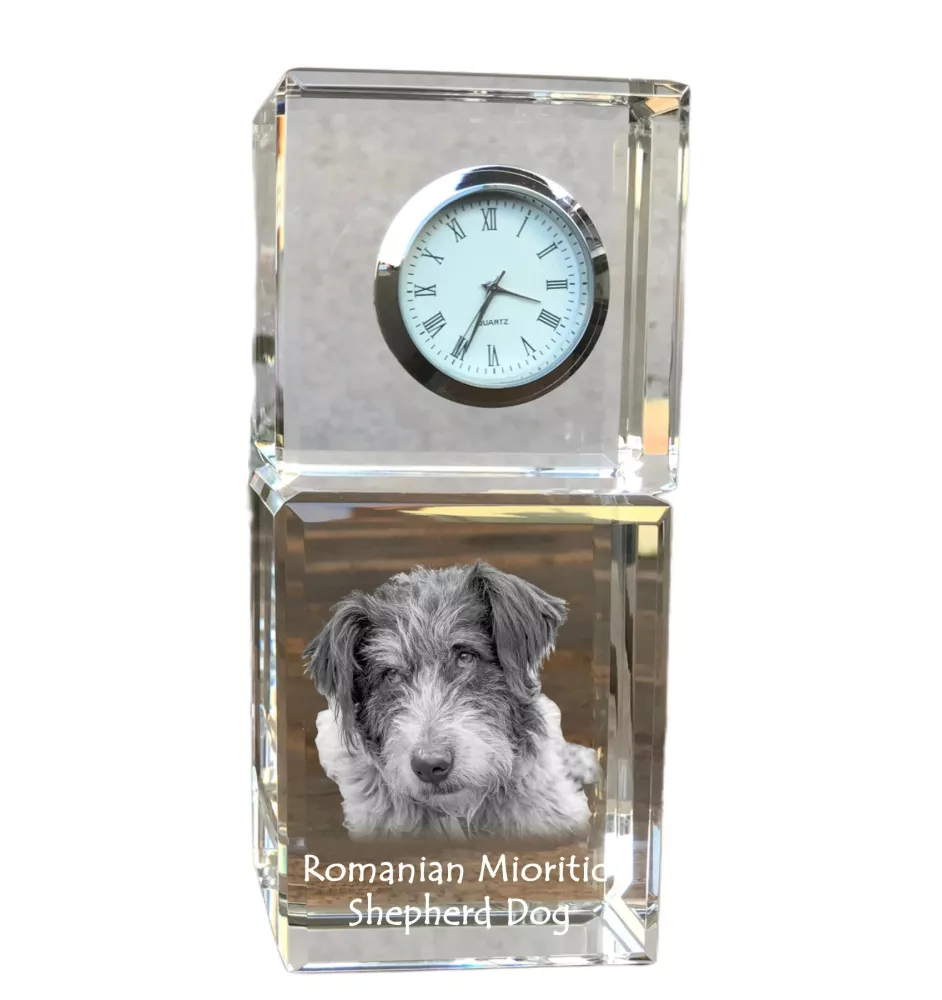 Chien de berger roumain de Mioritza - montre en cristal avec photo, photo de chien dans un cristal, horloge de bureau personnalisée de la marque Art-Dog