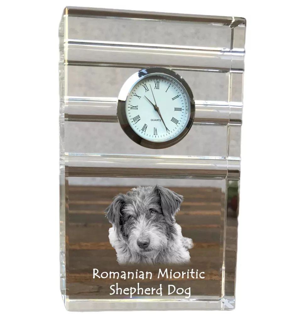 Romanian Mioritic Shepherd Dog, Ciobănesc Românesc Mioritic - glass clock with a photo, photo of a dog in crystal, personalized standing office clock by Art-Dog brand