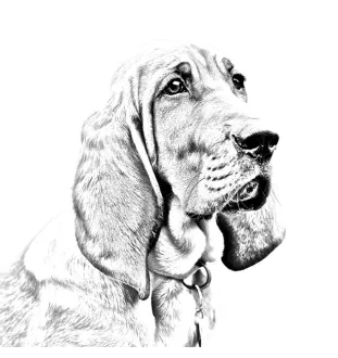 Redbone Coonhound - badge avec votre chien, ajoutez votre propre photo, marque Art-Dog