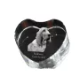 Redbone Coonhound - a photo of a dog in crystal, crystal heart, unique photo frame from the Art-Dog brand