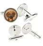 Rhodesian Ridgeback, African Lionhound, African Lion Dog - cufflinks in a box, handmade jewelry, product of the Art-Dog brand