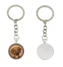 Rhodesian Ridgeback, African Lionhound, African Lion Dog - keychain in a box, own photo, keychain pendant from Art-Dog brand