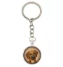 Rhodesian Ridgeback, African Lionhound, African Lion Dog - keychain in a box, own photo, keychain pendant from Art-Dog brand