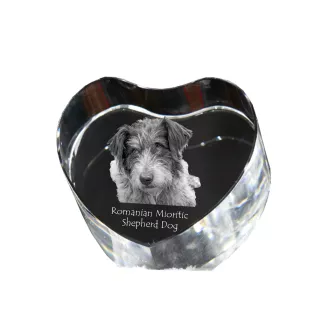 Ciobănesc Românesc Mioritic, Mocano, Barac - Hundebild im Kristall, Kristallherz, einzigartiger Bilderrahmen der Marke Art-Dog