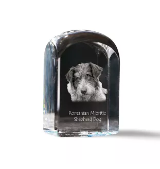 Romanian Mioritic Shepherd Dog, Ciobănesc Românesc Mioritic - crystal cube with a photo, photo of a dog in crystal, cubic paperweight from Art-Dog brand