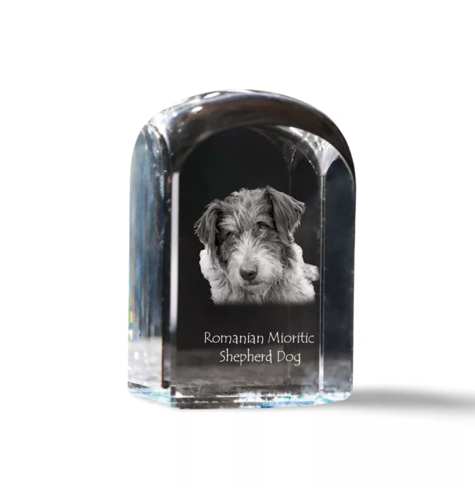 Romanian Mioritic Shepherd Dog, Ciobănesc Românesc Mioritic - crystal cube with a photo, photo of a dog in crystal, cubic paperweight from Art-Dog brand