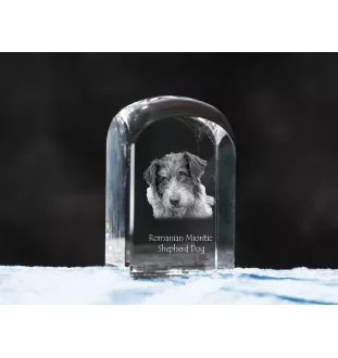 Romanian Mioritic Shepherd Dog, Ciobănesc Românesc Mioritic - crystal cube with a photo, photo of a dog in crystal, cubic paperweight from Art-Dog brand