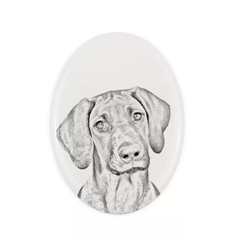 Chien de Rhodésie à crête dorsale, Rhodesian ridgeback - une plaque commémorative avec une photo de chien, une plaque funéraire avec une impression, une plaque ovale personnalisée de la marque Art-Dog