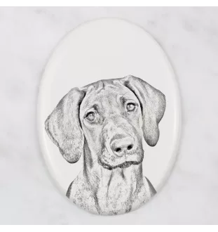 Chien de Rhodésie à crête dorsale, Rhodesian ridgeback - une plaque commémorative avec une photo de chien, une plaque funéraire avec une impression, une plaque ovale personnalisée de la marque Art-Dog