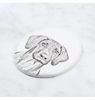 Rhodesian Ridgeback, African Lionhound, African Lion Dog - commemorative plaque with a photo of a dog, tombstone with a print, personalized oval plaque from the Art-Dog brand
