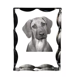 Rhodesian Ridgeback - Kristall mit einem Hundebild, Glasstatuette mit einem Bild, einzigartiger Bilderrahmen der Marke Art-Dog