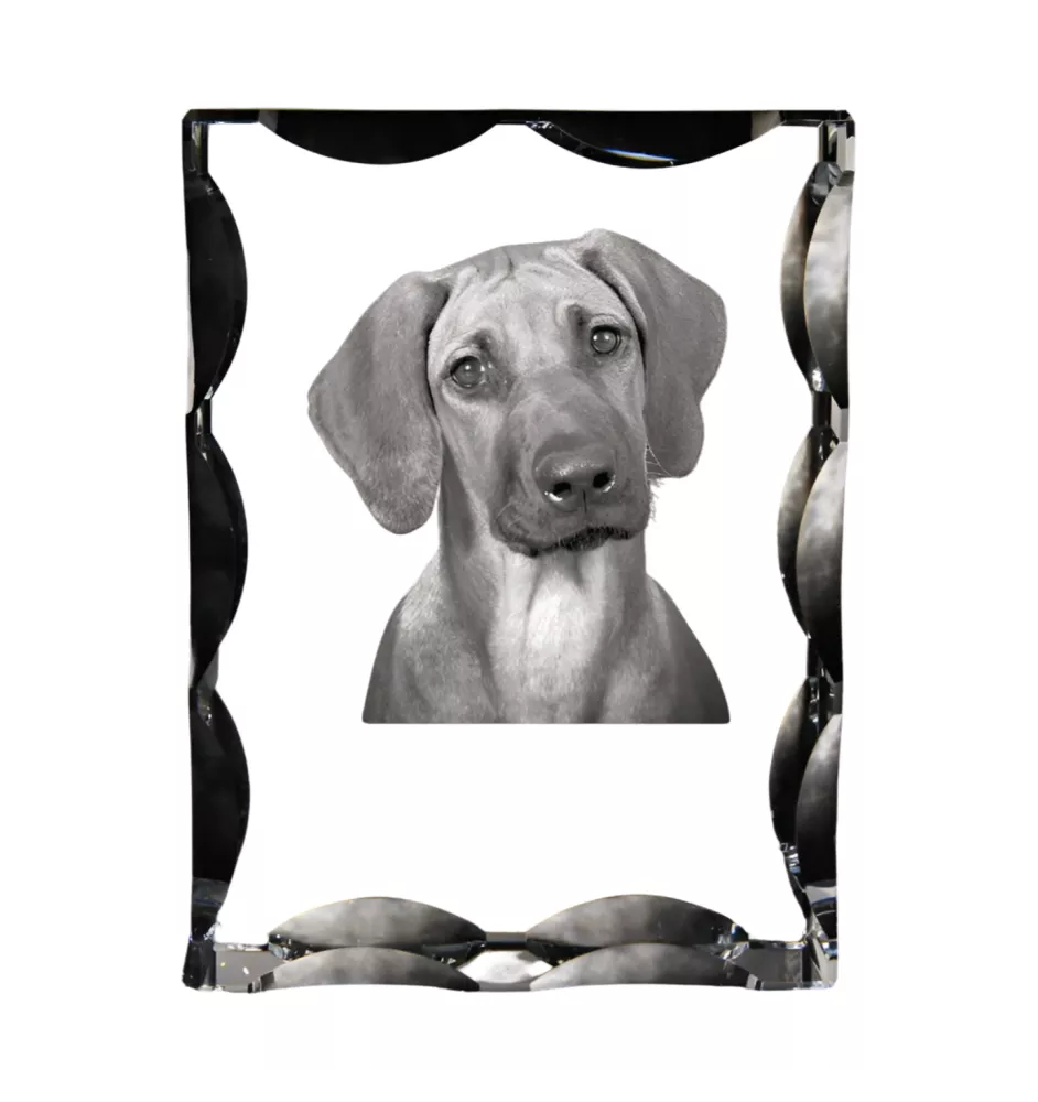 Chien de Rhodésie à crête dorsale, Rhodesian ridgeback - cristal avec photo de chien, statuette en verre avec photo, cadre exceptionnel avec photo de la marque Art-Dog